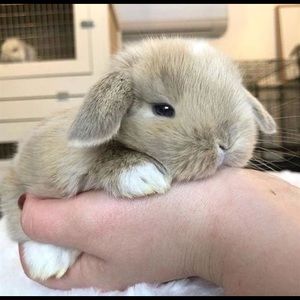 Meet your Posher, Kimberley